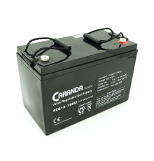 Акумуляторна батарея MCA FCG12-100LT GEL 12 V 100 Ah (331 x 174 x 214), 30,7 kg